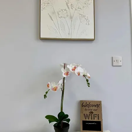 Apartment 29 Bristol